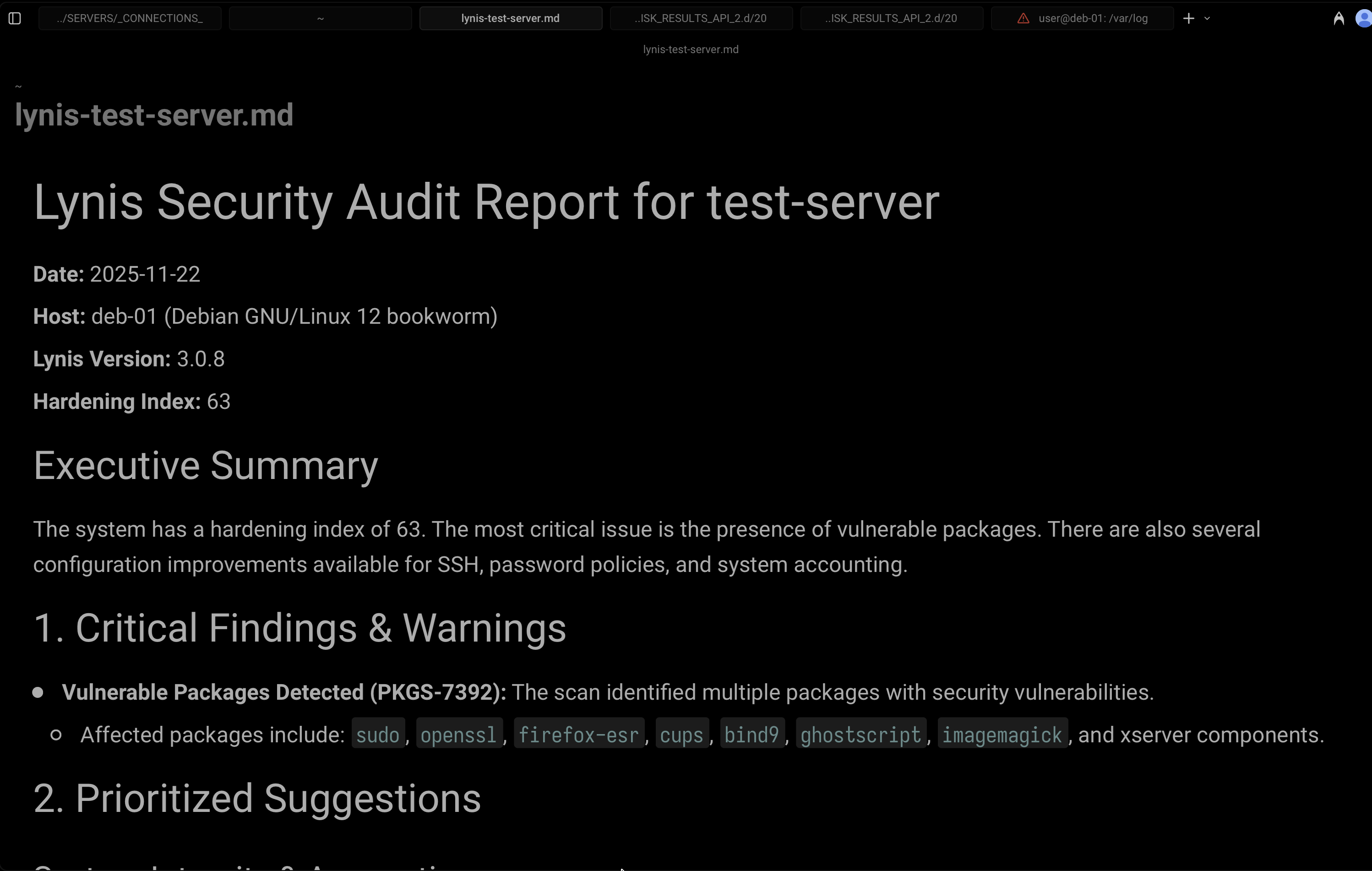 lynis3.png